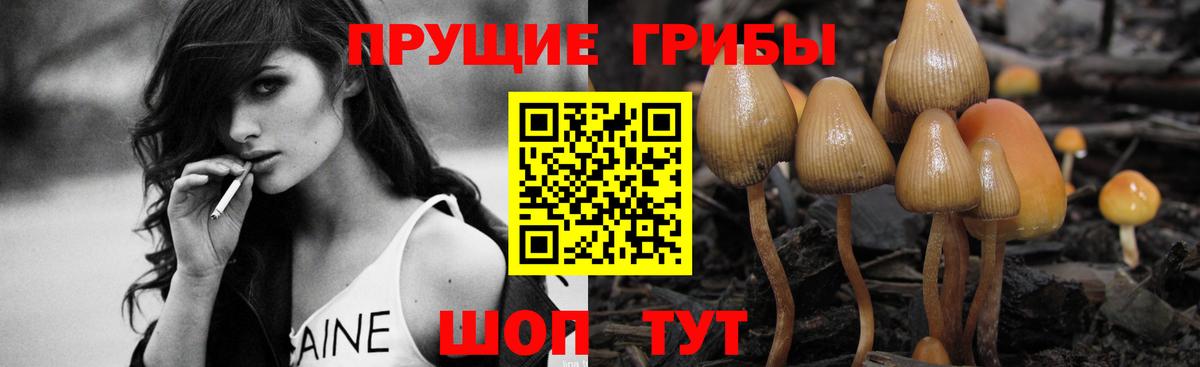 Псилоцибиновые грибы GOLDEN TEACHER Северск